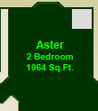 The Aster Suite