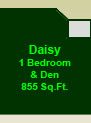 The Daisy Suite