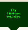 The Lily Suite