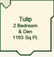 The Tulip Suite