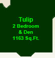 The Tulip Suite
