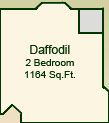 The Daffodil Suite