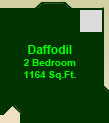 The Daffodil Suite