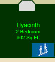 The Hyacinth Suite